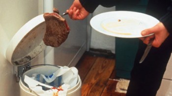 cibo spazzatura cibo spazzatura